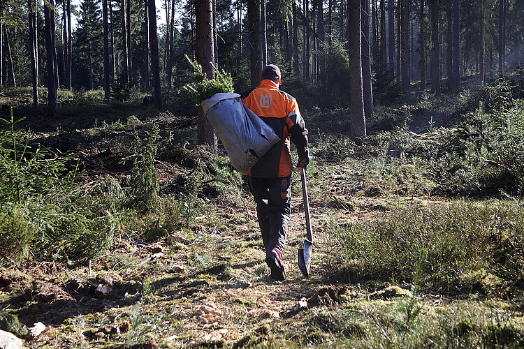 Ein Mann in orangefarbener Arbeitskleidung geht mit einer Tasche auf dem Rücken, in der Jungbäume stecken, in den Wald.