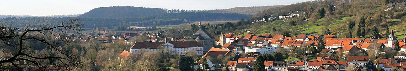 Das ehemalige Kloster Lamspringe und die Klosterkirche inmitten des Ortes gelegen. Foto: Klosterkammer/Lina Hatscher