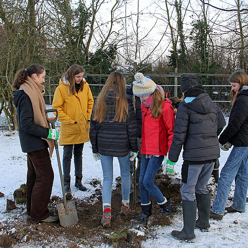 Sechs Schülerinnen in Winterbekleidung stehen auf einer schneebedeckten Weide und pflanzen einen Baum.