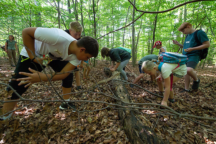 Mehrere Kinder laufen über mit Blättern und Stämmen bedeckten Waldboden.