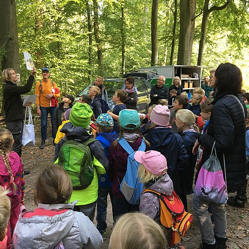 Eine Gruppe von Schulkindern steht im Wald und hört einer Mitarbeiterin der Klosterforsten, Stefanie Gerevelhörster, zu.