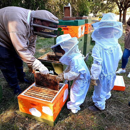 Der Imker Daniel Dietrich zeigt Kindern einen Bienenstock in einem Garten. Alle tragen Imkeranzüge zum Schutz vor Stichen.