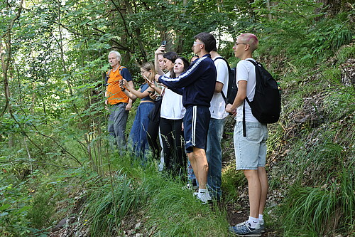 Schülerinnen und Schüler fotografieren den Wald in Ilfeld
