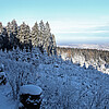 Eine verschneite Waldlandschaft mit einem Weg und dem Blick in die Ferne.