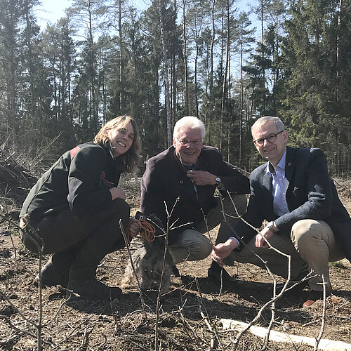 Drei Personen sind in einem Waldstück der Klosterforsten mit jungen Eichen im Vordergrund zu sehen.