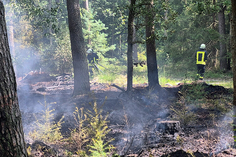 Verbrannte Fläche im Wald von der Rauch aufsteigt, im Hintergrund Feuerwehrleute.