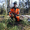 Ein Mann in orangefarbener Arbeitskleidung kniet auf Waldboden und hat Sprösslingen für Nadelbäume in der Hand.