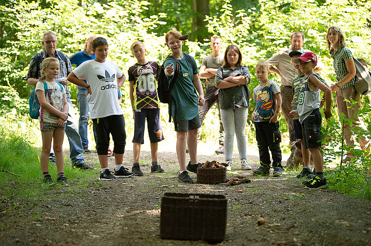 Eine Gruppe von Schulkindern steht im Wald in einem Halbkreis, ein Junge wirft einen Zapfen in einen Korb.