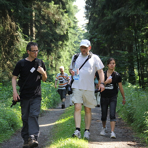 Eine Gruppe mit Fotoapparaten läuft auf einem Waldweg entlang.