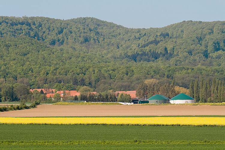 Im Vordergrund sind gelbe Rapsfelder und im Hintergrund ein Wald zu sehen - dazwischen liegt die Biogasanlage der Bioenergie Kleiner Deister GmbH.
