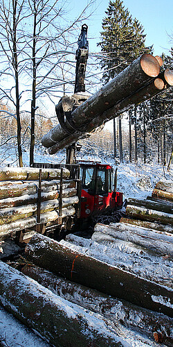 Holzverkauf