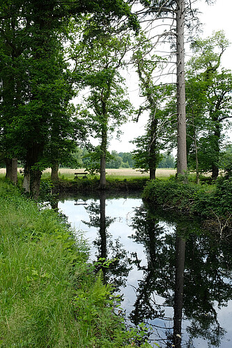 Bäume stehen entlang eines Wassergrabens, sie spiegeln sich in der Wasseroberfläche.