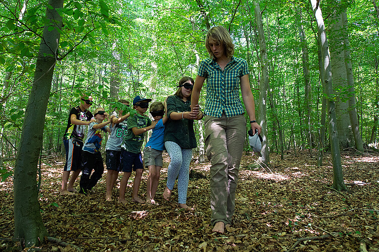 Eine Reihe von Kindern mit zugebundenen Augen, die sich jeweils an den Schultern fassen, läuft unter der Leitung von Försterin Stefanie Grevelhörster durch den Wald.