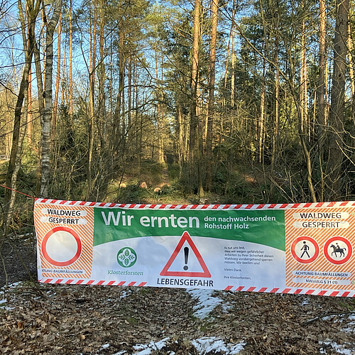 Banner im Wald mit Aufschrift: Waldweg gesprerrt; wir ernten; Lebensgefahr.