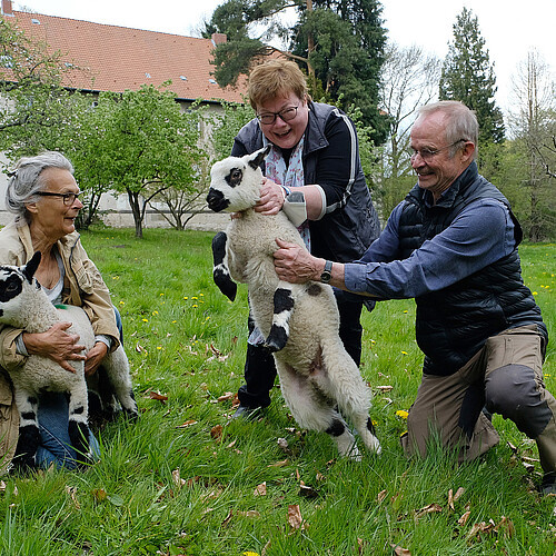 Bild von Schafen im Kloster Marienwerder Darauf zu sehen sind drei Personen: Inger Johannes, Ulrike Kempe und Hans-Jürgen Hoffmann.