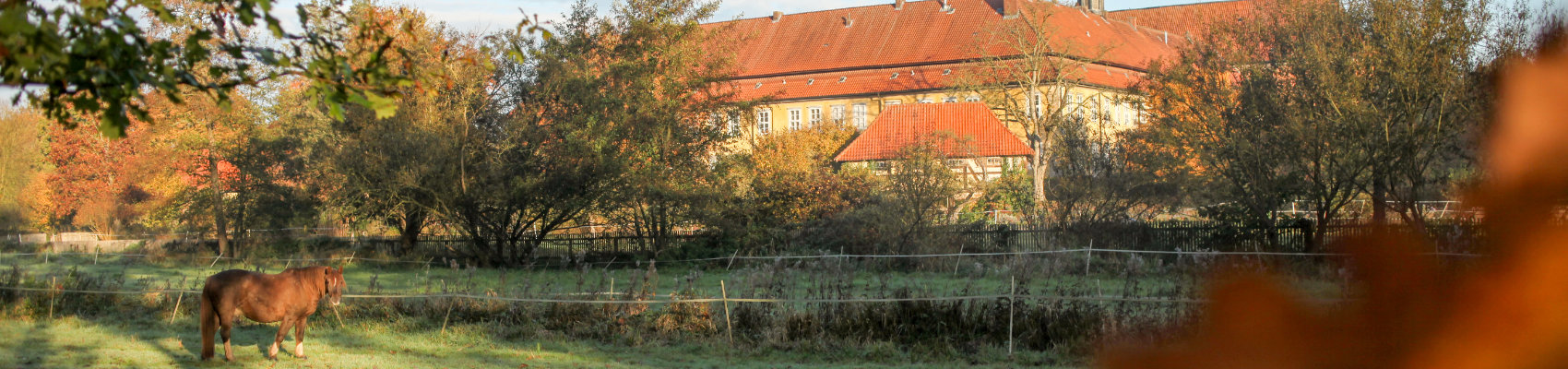 Das Calenberger Kloster Mariensee in Neustadt am Rübenberge. Foto: Katrin Kutter