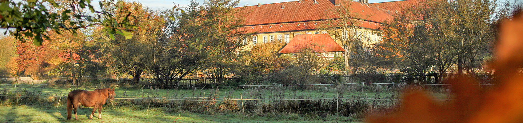 Das Calenberger Kloster Mariensee in Neustadt am Rübenberge. Foto: Katrin Kutter